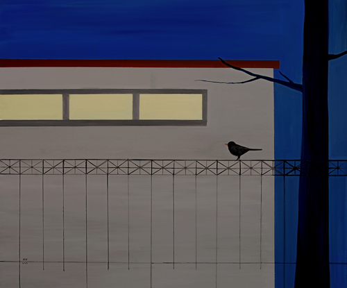 Blackbird at the guardhouse of Herodus Atticus Street
